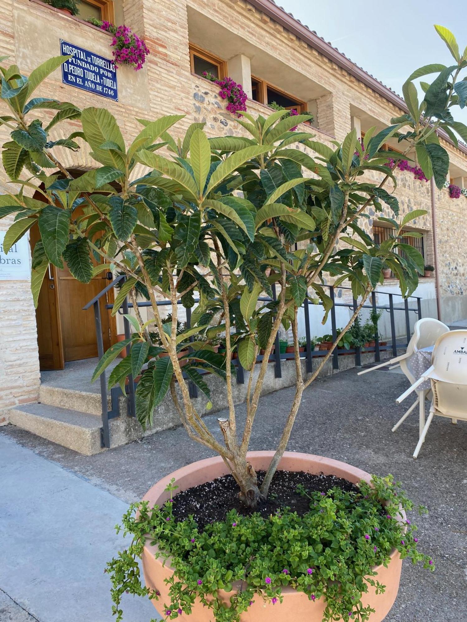 Casa Rural Hospital De Las Palabras Torrelles Екстер'єр фото